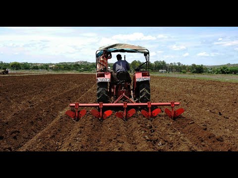 აგრო სიახლეები - 14 (სეზონი 12)