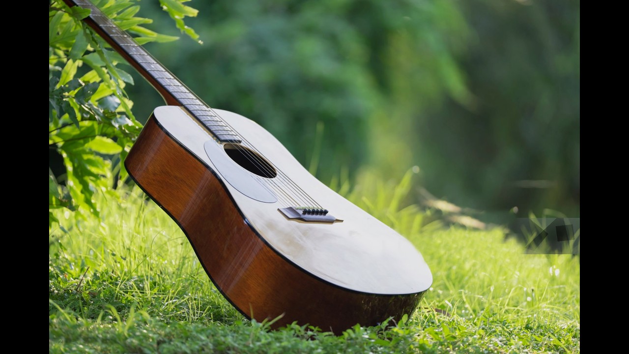 Наша февральская полянка 2026. Израиль, Йокнеам. 13 февраля 2026