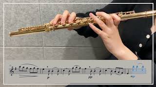 가리볼디 플루트 에튀드 Op. 131 4번 E Minor