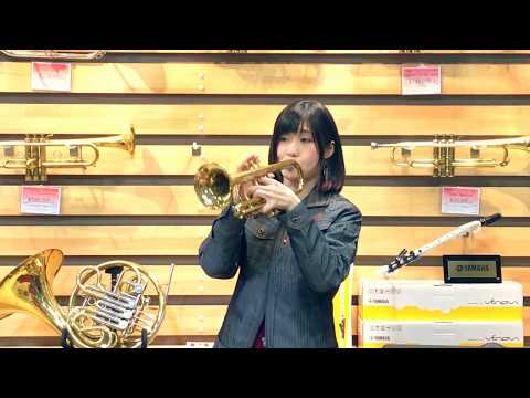 【世界に一つだけの花をトランペットで演奏してみた♬】SMAPの曲をコルネットで吹いてみたよ🎶【服部管楽器】