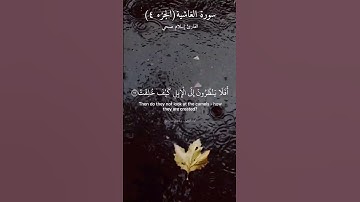 الجزء (٤) من سورة الغاشية. أفلا ينظرون إلى الإبل كيف خُلِقَت، بصوت القارئ إسلام صبحي.