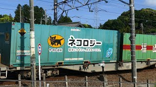 2019/05/19 JR貨物 カナキク大カーブ午後3時以降の貨物列車5本 レアなコンテナいっぱい!!