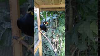 VID 20190306 180614~2