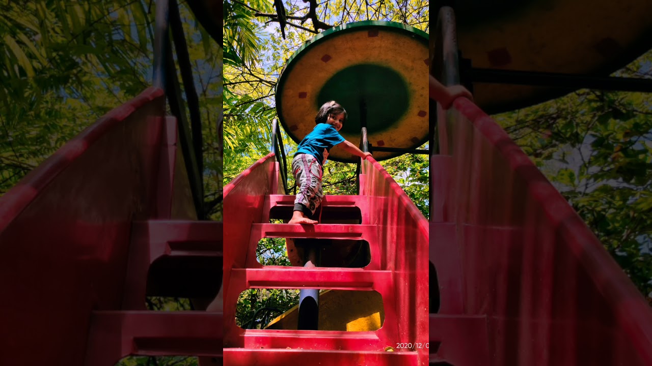 a day at Mango Meadows