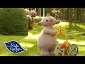 El Jardín de los Sueños | Makka Pakka Lava Caras | Videos Para Niños