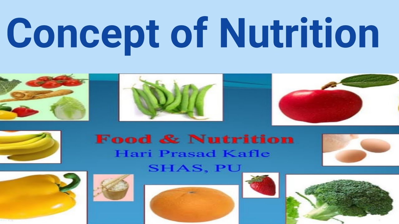 Concept of Nutrition chapter:5 part:1 Fundamental of nursing BSN Second semeste kmu slides in pashto