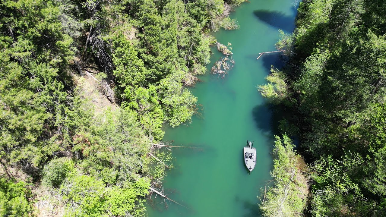 Scotts Flat Reservoir BASS FISHING YouTube