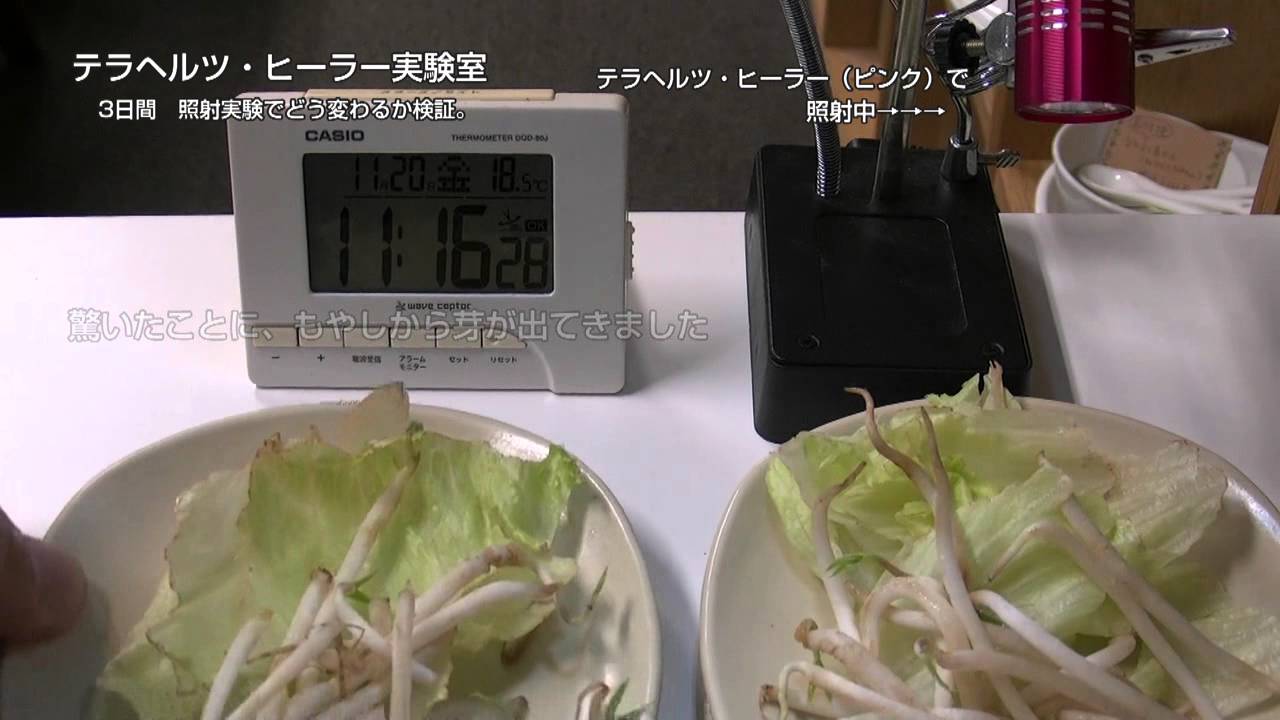 周波数を自在に使いこなすテラヘルツヒーラー | びんちょうたんコム