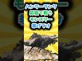 【モンハン】ハンターランク昇格で戦うモンスター挙げてけ【ランキング】【反応集】#shorts