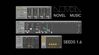 SEEDS 1.6 Overview