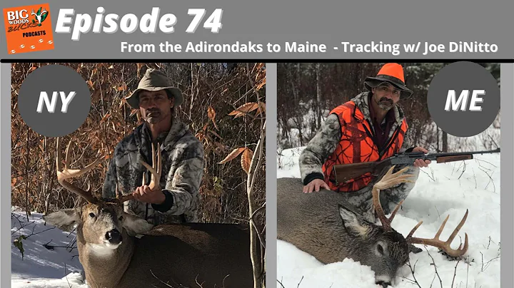 074 | From the Adirondacks to Maine  Tracking Big ...