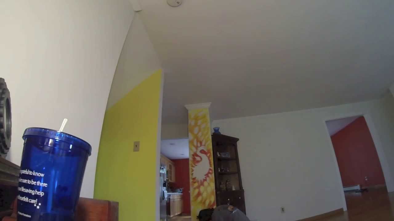 Peacock Mural Painting