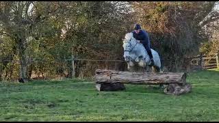 Rolo - Wonder Cob! Ad ref: 303505