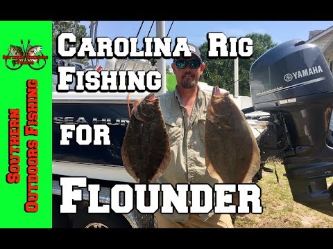 Carolina Rig Fishing with Live Menhaden for Flounder 