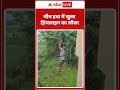 Viral Video: बीच हवा में खुला ज़िपलाइन का लॉक! |ABPLIVE