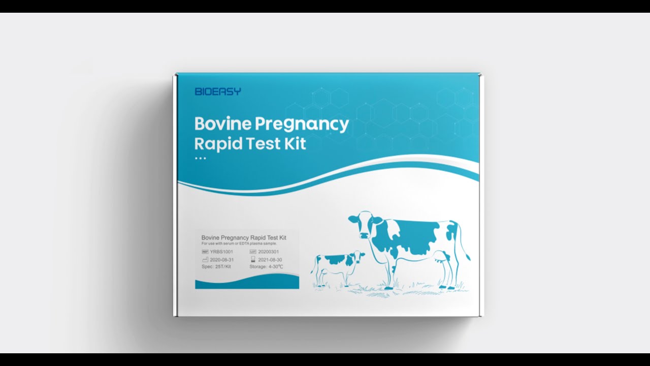 Bioeasy Bovine Pregnancy Rapid Test Kit YouTube