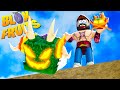 Adieu fruit du dragon sur blox fruit  blox fruit 113