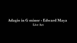 Edward Maya   Live Act Cut   Adagio in G min   YouTube 1