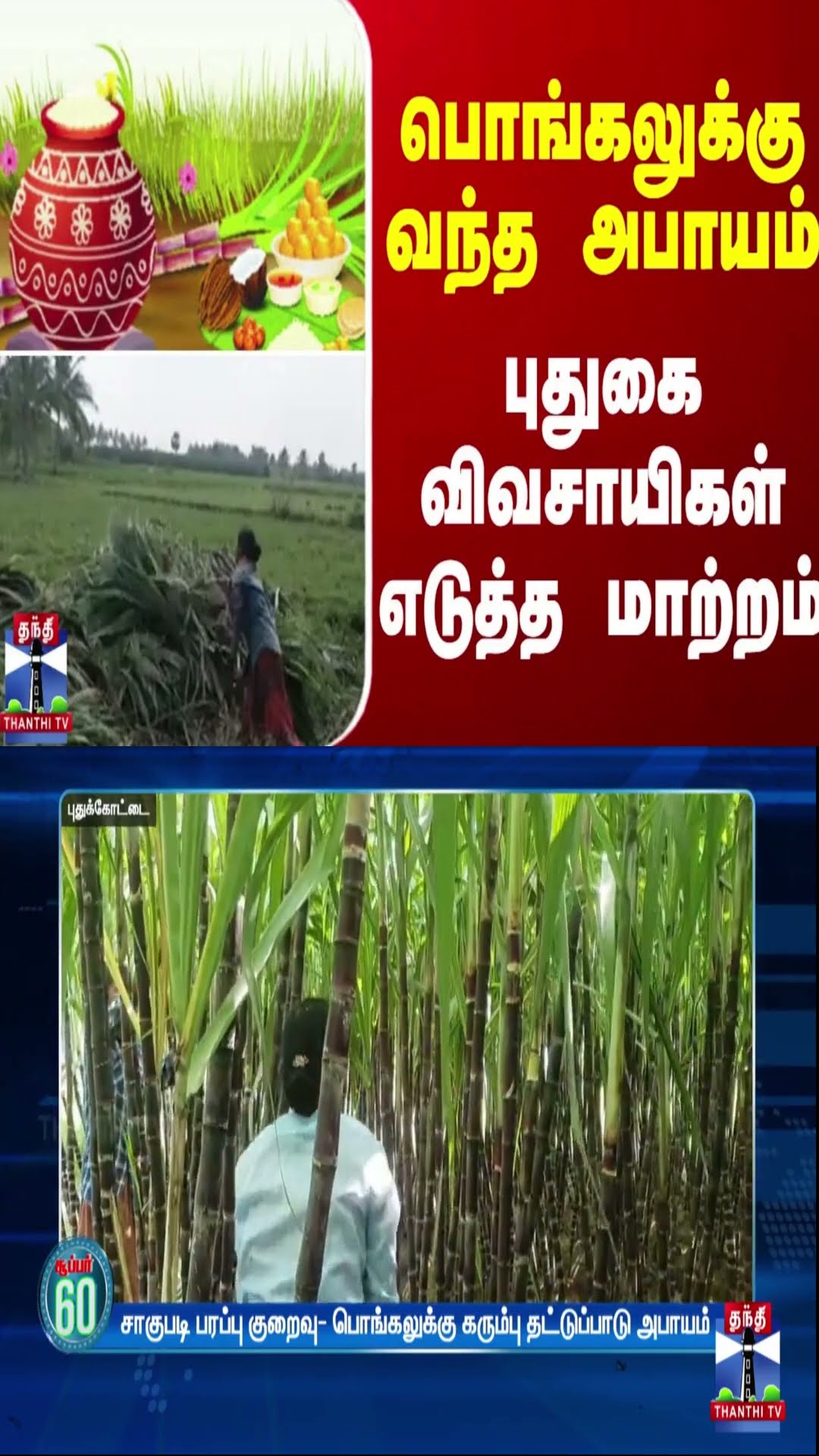 பொங்கலுக்கு வந்த அபாயம்புதுகை விவசாயிகள் எடுத்த மாற்றம்