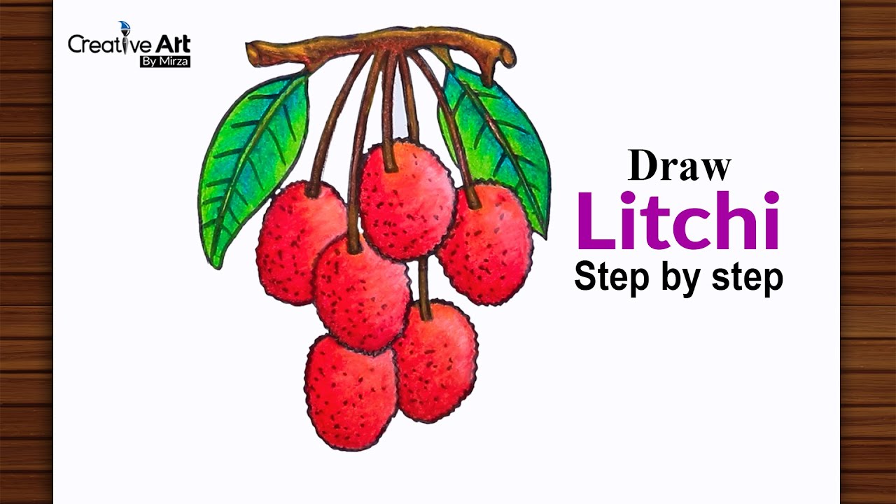 Litchi drawing easy