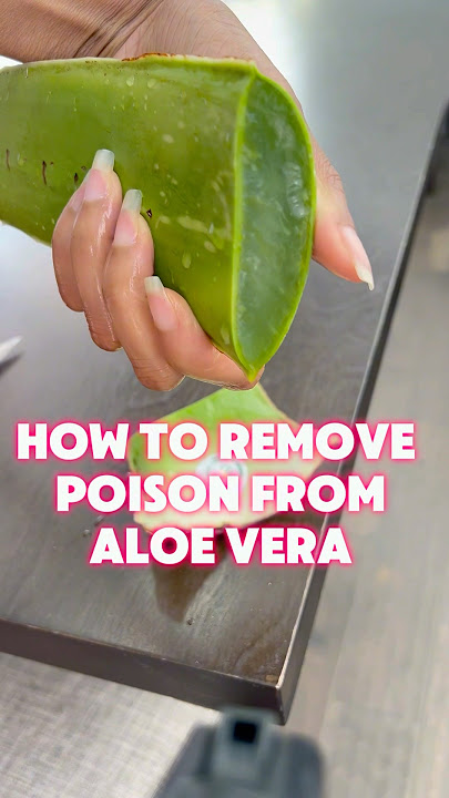 How to properly remove the poison from Aloe Vera #4chair