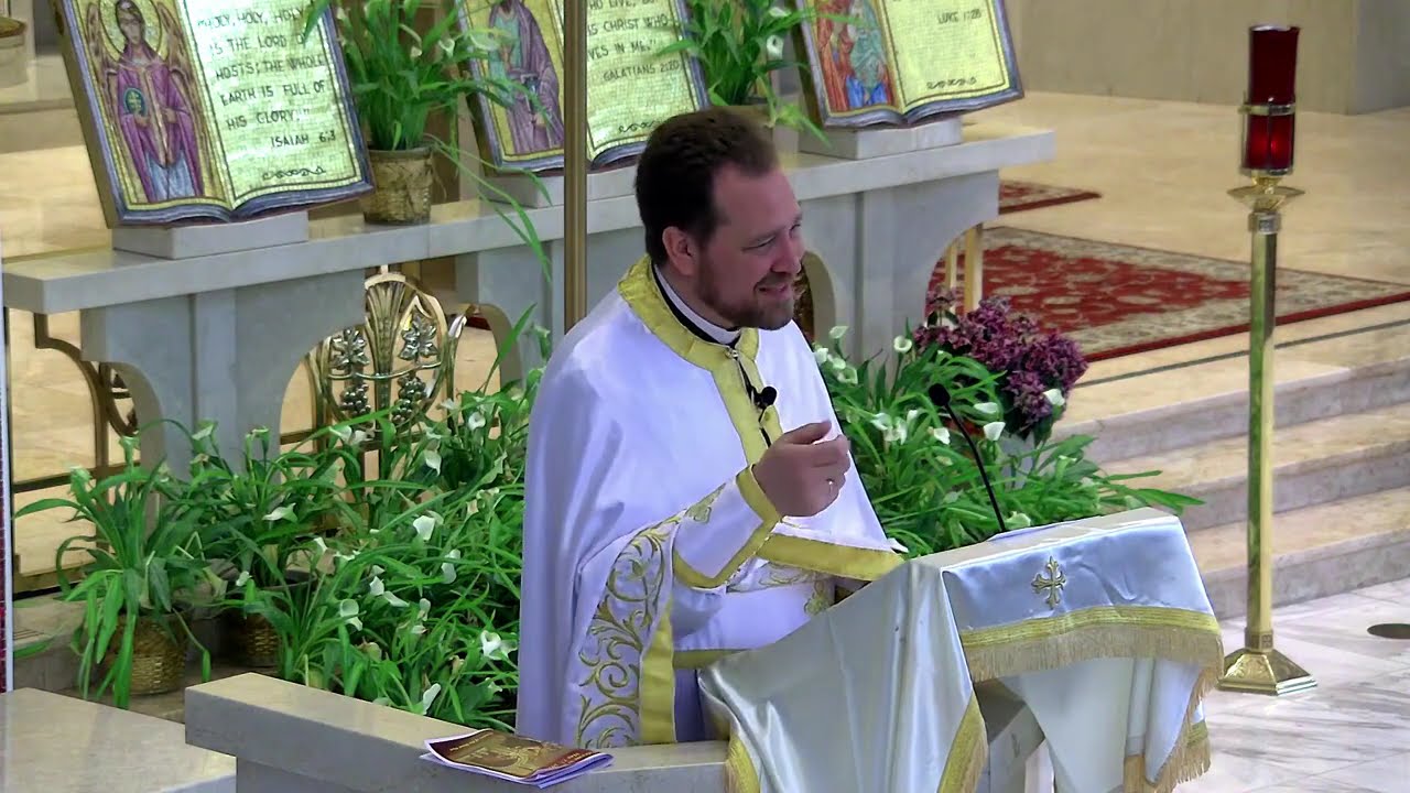 The Holy Stubbornness of True Sight | Homily on Sunday of the Blind Man | May 17, 2026