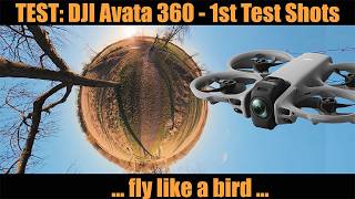 Test: DJI Avata 360 - 1st Shots