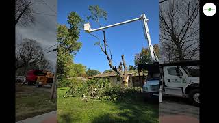 Engledow Tree Experts LLC | Tree Removal &amp; Trimming | Certified Arborist Indianapolis Carmel