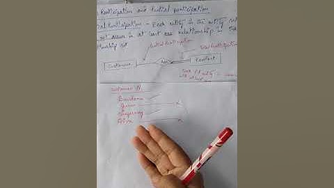 Total Participation and Partial participation