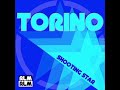 Shooting Star by Torino Acid Jazz