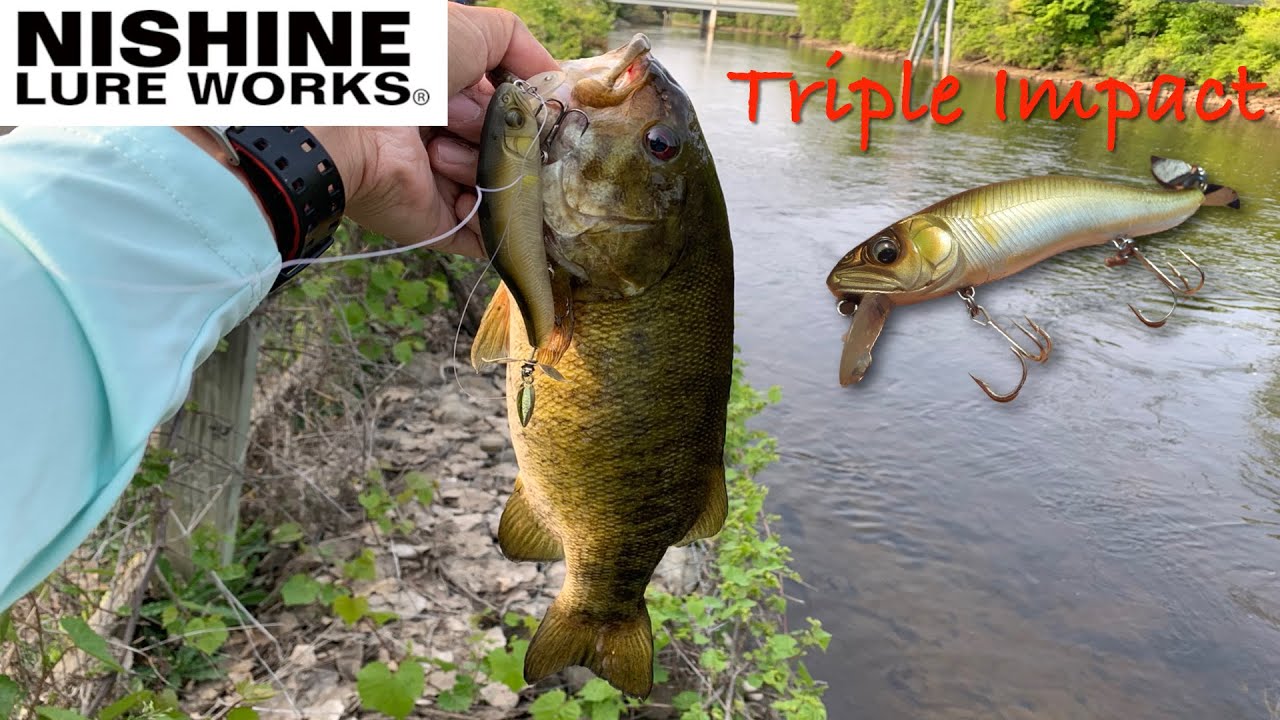 Amazing lures for Topwater Smallmouth fishing (トリプルインパクトで川スモールのトプウォーター