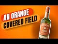 Ep 3195 an orangecovered field