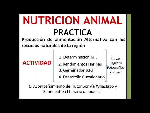 AP-1 (Asesoría de Proyecto) 4 septiembre NUTRICION ANIMAL