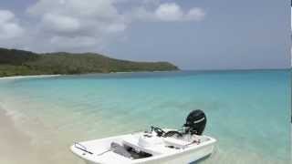 2012 Boston Whaler 110 Sport in British Virgin Islands