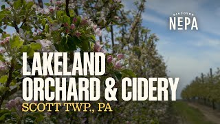 Lakeland Orchard & Cidery | Scott Twp., PA