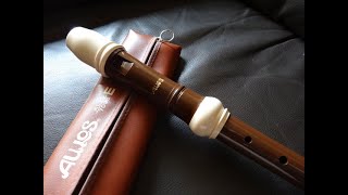 Aulos Haka 709B Alto Recorder & Celtic Harp - `Sally Gardens´