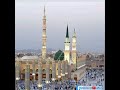 على الله لفني عمري وع الحبيب رسول الله نسيمالقلوب ر8ك