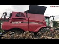 Комбайни CASE IH 7240 Axial-Flow збирання соняшника в Харківській області