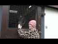 The Irish National Stud Off-Season 2025-2026, 2025-12-10 Wednesday. video 3
