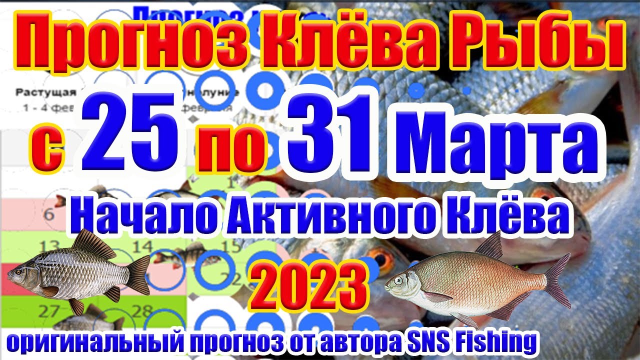 Прогноз клева лунный календарь на 25 год