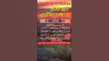 سورة التكاثر / سعد الغامدي #HolyQuran_30