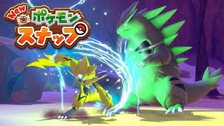 Newポケモンスナップ ゼラオラ Vs バンギラス 荒野の幻 リクエスト ポケスナ Switch Youtube