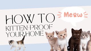 How to Kitten-Proof Your Home or Apartment by Here Kitty Kitty 47 views 1 month ago 1 minute, 37 seconds