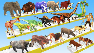 Animals vs Dinosaurs vs Brachiosaurus Hydra Speed Race Run Zigzag Down Course! Animal Revolt Battle