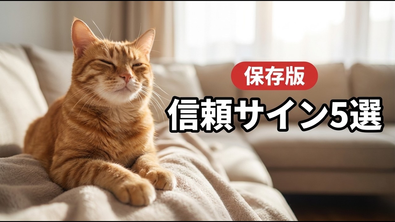 猫が安心した相手にだけ見せる行動5選【完全ガイド】