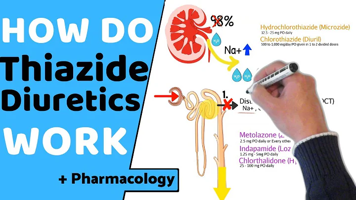 How do Thiazide Diuretics Work? (+ Pharmacology)