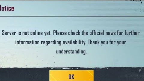 server is not online Yet New bgmi problem 😭