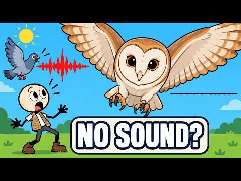 Why Owls Fly Almost Silently—but Most Birds Don't?