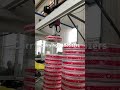 Carrying palletizers