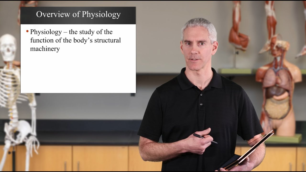 Major Themes of A&P (Ch01 - Slides01 08)